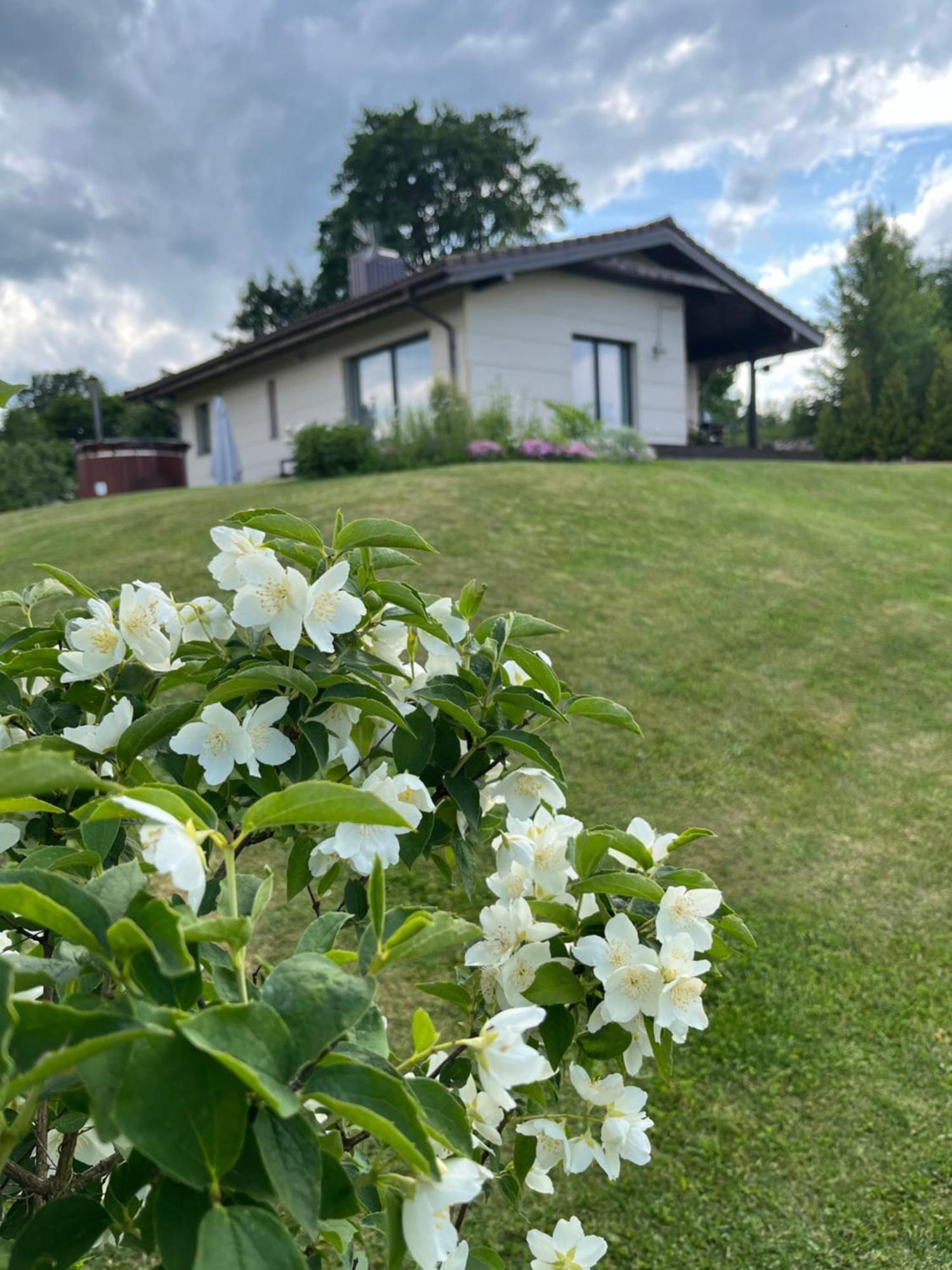 Vila Trakai Buitenkant foto