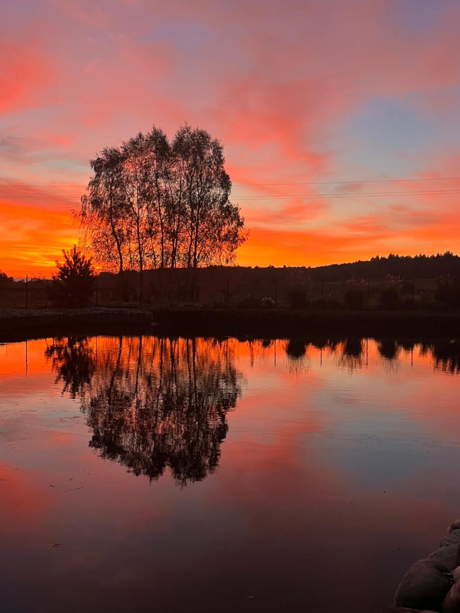 Vila Trakai Buitenkant foto